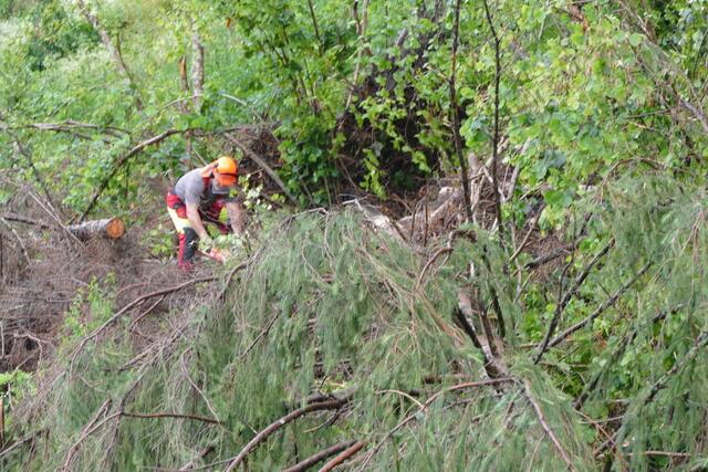 Umgestürzte Bäume mussten beseitigt werden. | Foto: Feuerwehr