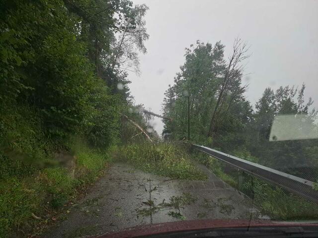 Finkenberg | Foto: privat