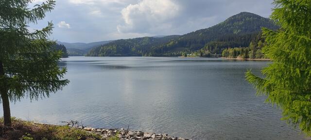 Das "Golden Lake Festival" findet im August beim Stausee Soboth statt. | Foto: Günther Koch