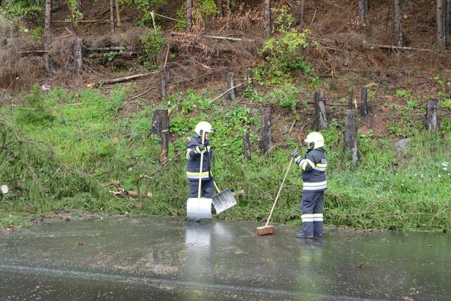 Foto: Feuerwehr