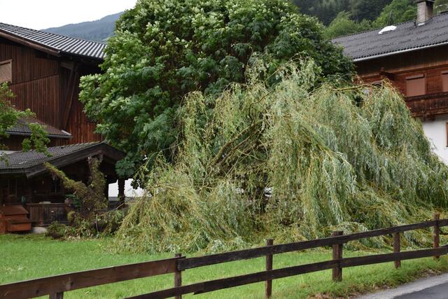 Hart i. Z.  | Foto: Haun