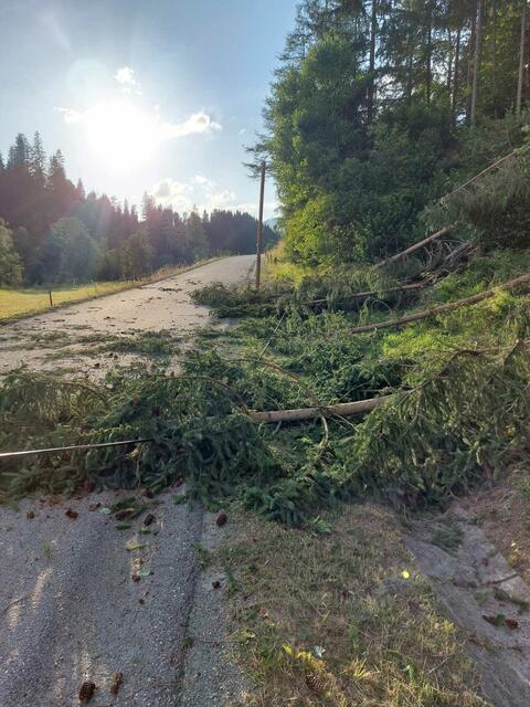 Foto: Feuerwehr
