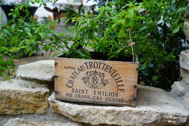 Foto: Andrea Glatzer