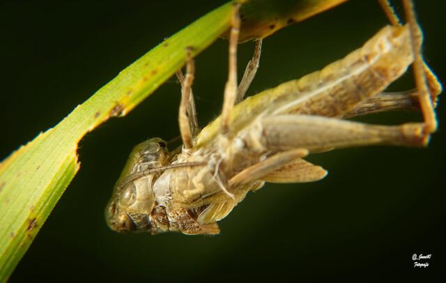 .........es geht noch langsam vor sich ......