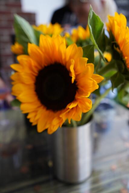 Foto: Andrea Glatzer