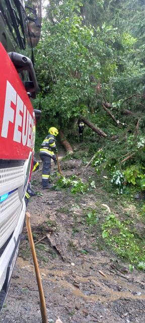 Foto: Feuerwehr