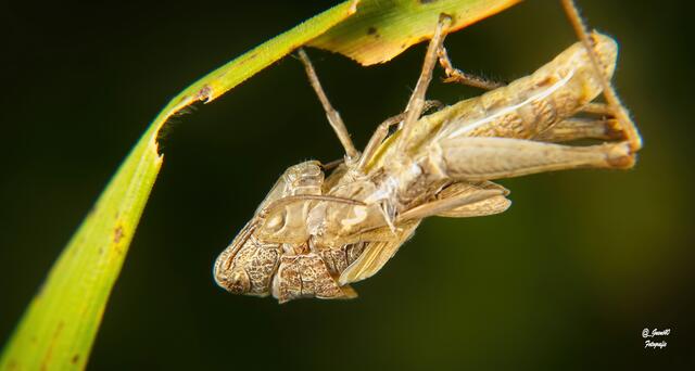 ........es ist schon was weitergehen .......