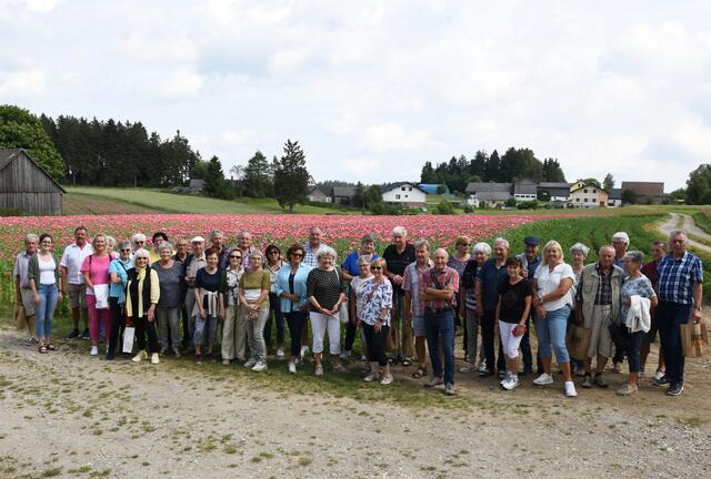Nach der Verkostung der Mohnprodukte gab es noch eine Führung zu den umliegenden Mohnfeldern die mit ihrer Blütenpracht faszinierten. | Foto: Josef Dolzer