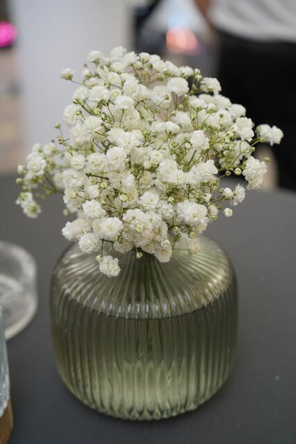 Foto: Andrea Glatzer