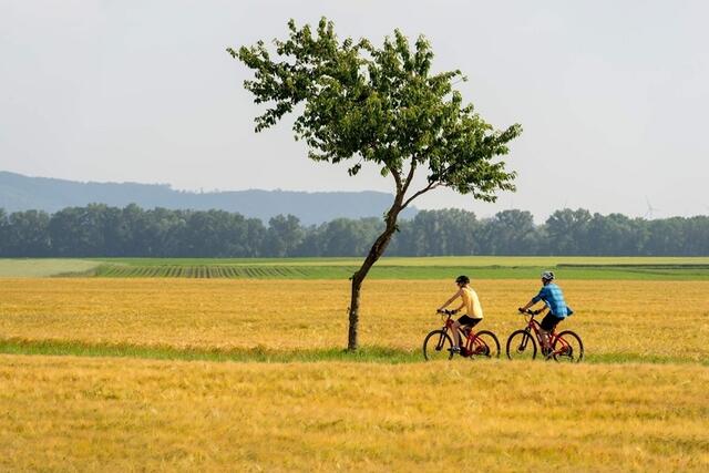Radfahren im Marchfeld | Foto: Michael Himml