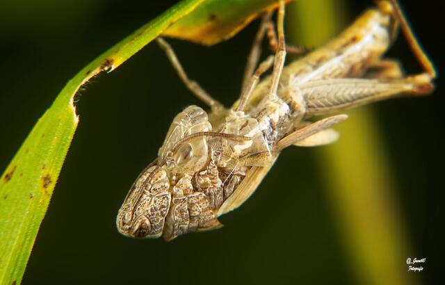 ..........na,schau das du raus kommst .....