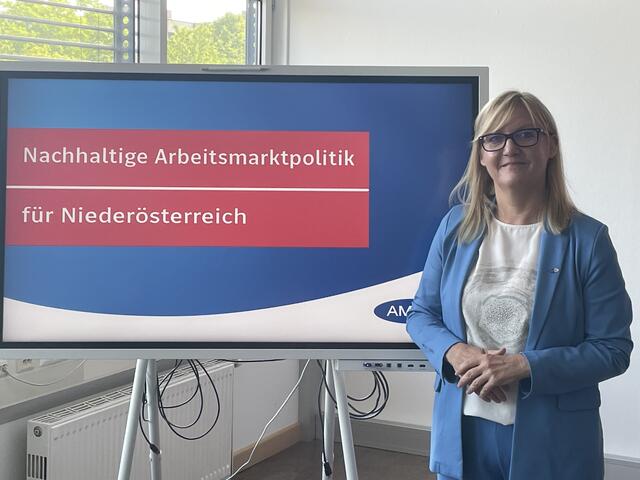 Bis 2040 soll das Arbeitskräftepotenzial auf 860.000 gesteigert werden, das würde einer Steigerung um 4,5 Prozent entsprechen.  | Foto: MeinBezirk/Philipp Belschner