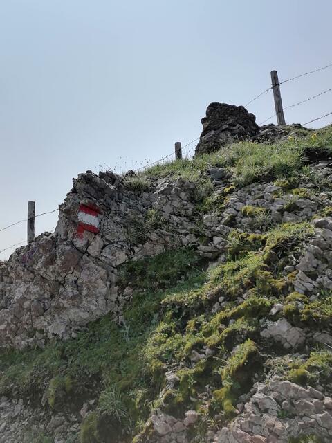 Der Schneeberg. | Foto: Helga Kainzbauer