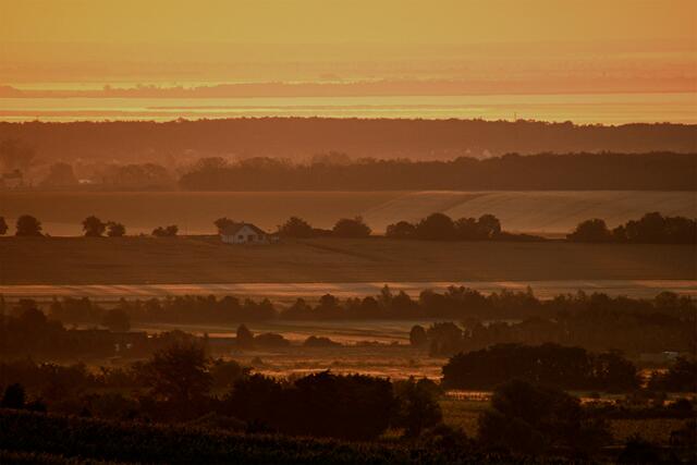  Im Hintergrund der Neusiedlersee.