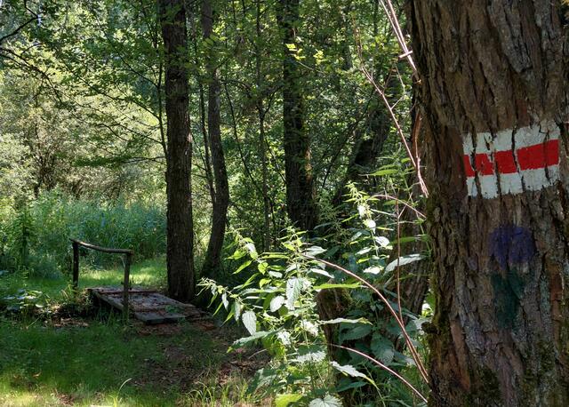 ...mystische Pfade - mehr darüber in meinem Beitrag "Auf den Spuren der Mönche"