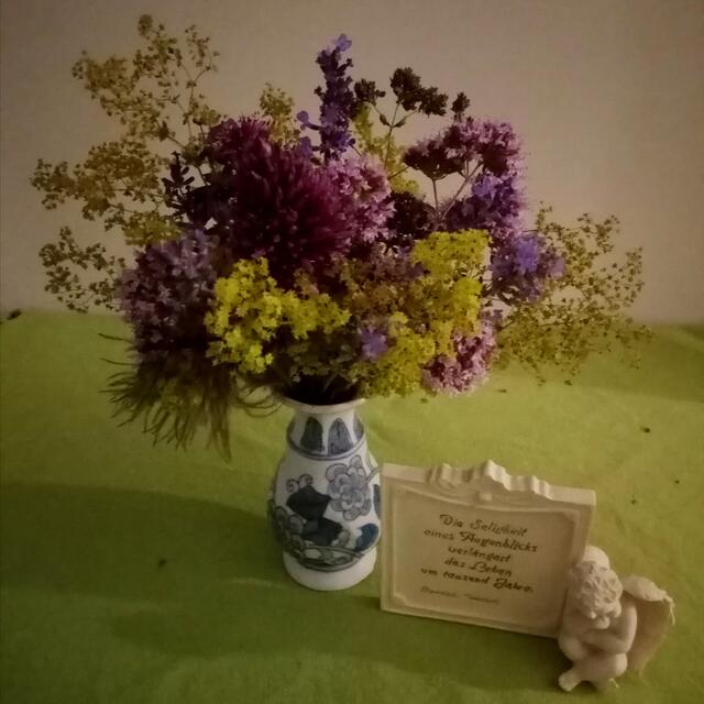 Stelldichein von Oregano, Frauenmantel, Allium und Lavendel