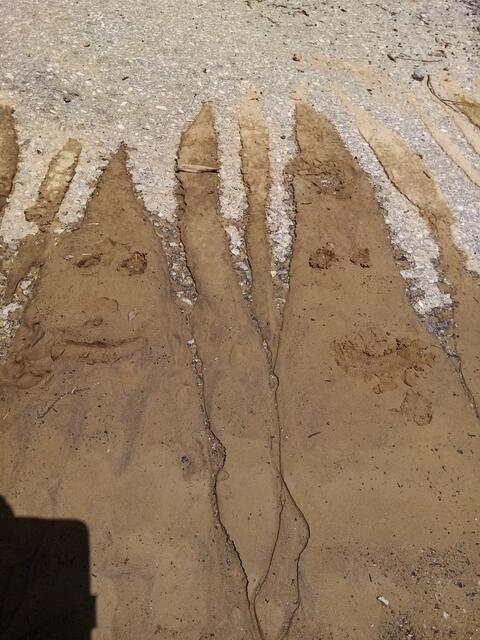 Was es mit den Beiden auf sich hat?  hier gehts zum Beitrag 