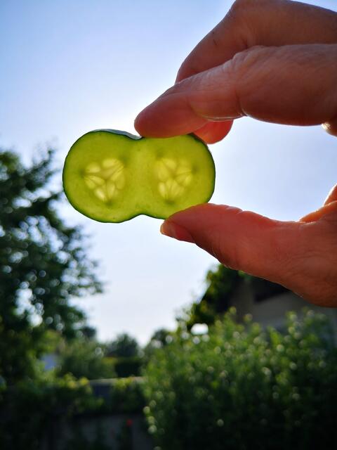 die Twini Gurke.....schon verzehrt 