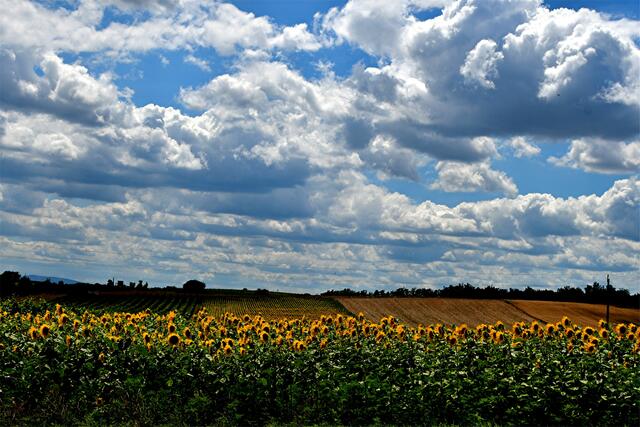 ...wünsche ich allen meinen Regionautenfreunde.