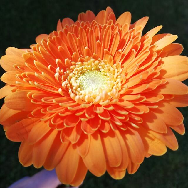 ... mit lieben Grüßen von mir! 