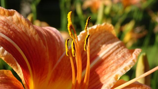 Foto: © Silvia Plischek