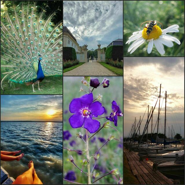 Burgenland Bilder Collage 
@renatahfotografie 