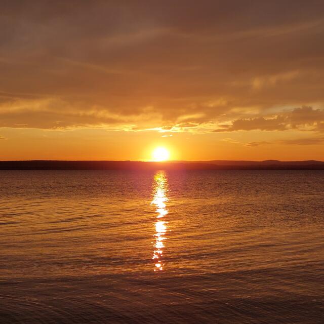 Sonnenuntergang Illmitz Burgenland 
@renatahfotografie 