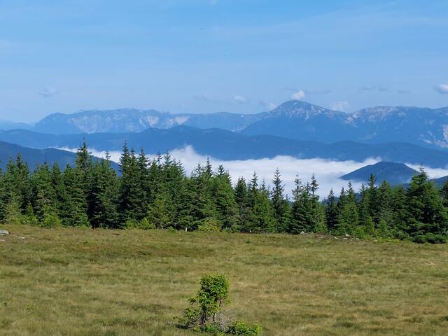 Wanderung am Wechsel: Steyersberger Schwaig -Kranichberger Schwaig- Hochwechsel- Steinernes Kreuz- Feistritzer Schwaig - Steyersberger Schwaig.  | Foto: Eva Maria Geiderer