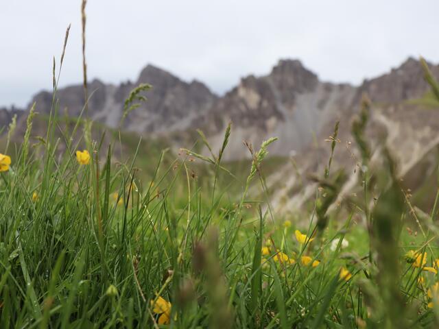 Trotz Reden und Gewitter: Der Hoadl ist immer ein Besuch wert.  | Foto: Alicia Martin Gomez
