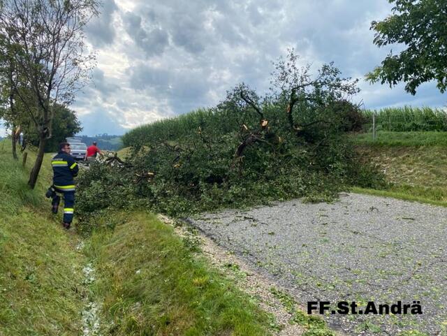 Foto: Feuerwehr St. Andrä im Lavanttal