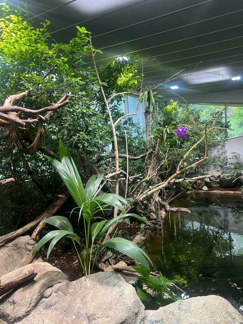 Foto: Tierschutz Austria