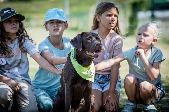 Rettungshunde hautnah erleben können Kids im Sommer. | Foto: Rettungshunde NÖ