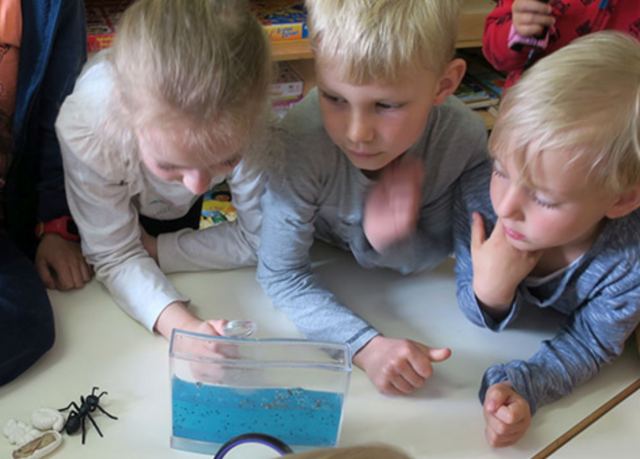 Der Kindergarten Oberpetersdorf auf den Spuren der Ameisen. | Foto: Naturpark Landseer Berge