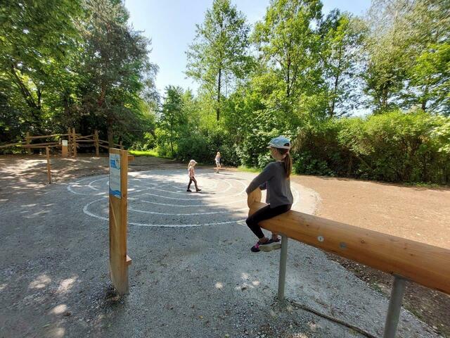 Zu jeder der sieben Stufen – Fisch, Amphibie, Reptil, Säugetier, Affe, Urmensch und moderner Mensch – gibt es spezifische Übungen. Anhand der Bewegungen werden fehlende Vernetzungen im Gehirn wieder hergestellt und Blockaden gelöst. | Foto: www.evobewegt.at