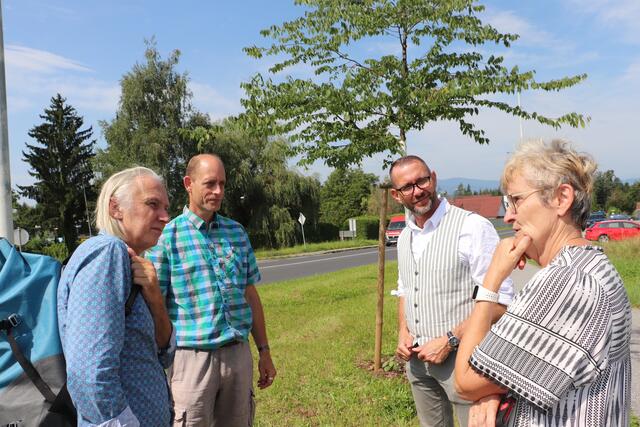 Schauen bei der Abfederung des Klimawandels in dieselbe Richtung: Thomas Roth, Wolfgang Lanner Stefan Helmreich und Anna Lang bei einer Begehung am Areal der Zukunftsbäume. | Foto: Edith Ertl