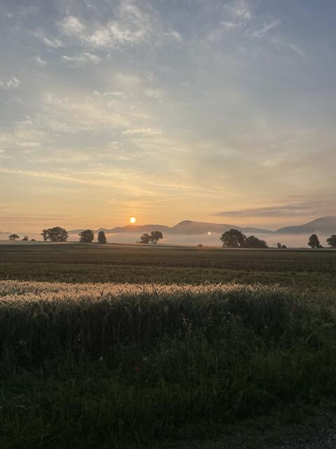 Symbolfoto: Wohnraum statt Felder? Nicht unbedingt, denn die Landwirte benötigen die Anbauflächen. | Foto: Santrucek