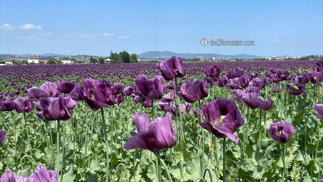 Foto: die2Nomaden.com