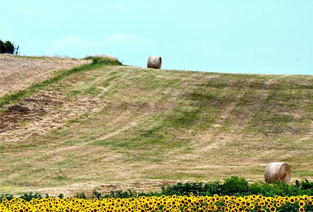 ...eine Rolle vorwärts.   
