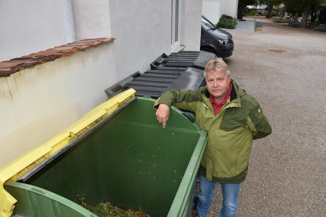 Strauchschnitt gehört nicht in die gelbe Tonne. | Foto: Alexandra Goll