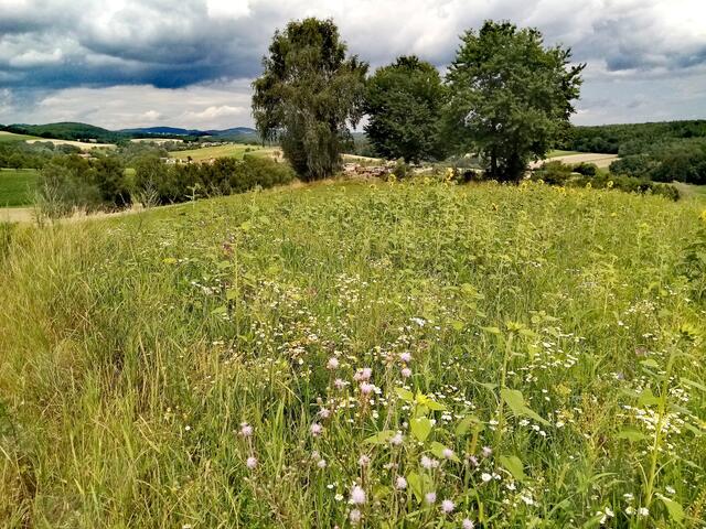 Blick Richtung Willersdorf 