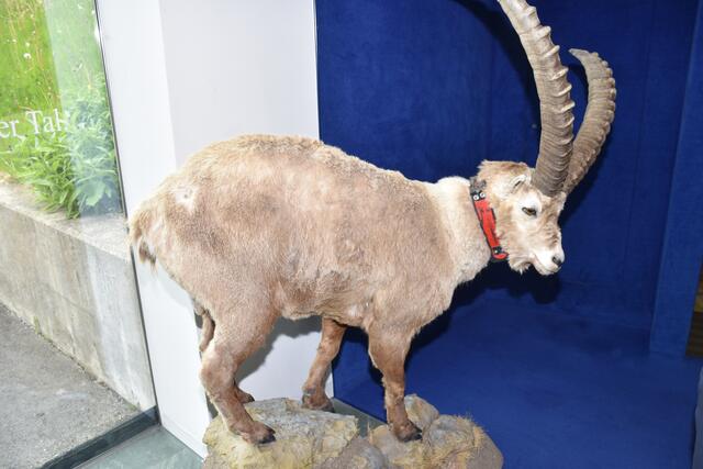 Foto: Robert Zinterhof