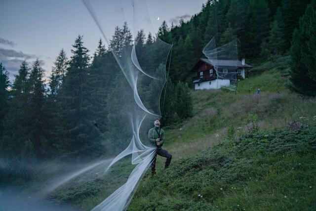 Die Fledermausforscher:innen spannen ihre imposanten teilweise bis zu 10 Meter langen und rund 5 bis 6 Meter hohen Netze für den Nachtfang aus. | Foto: NPHT/Fabian Dalpiaz