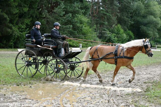 Foto: Gerald Dreisiebner
