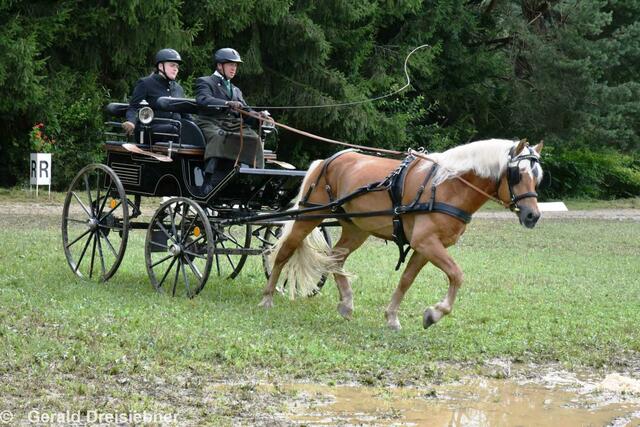 Johann Perhab mit Beifahrerin Jacqueline Wilfling von RFV Rohrbach am Kulm | Foto: Gerald Dreisiebner
