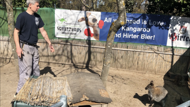 Das Schutzhaus mit der Kängurufarm am Harzberg ist Ende 2023 Geschichte. | Foto: Stockmann