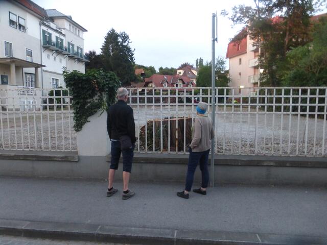 Wer  noch Zeit hat, an der Adresse Körblergasse 42 ist noch einige Tage ein "Mordstrumm" Wurzelstock zu besichtigen, bevor dann "Betongott" seinen "Altar" aufstellen wird.
