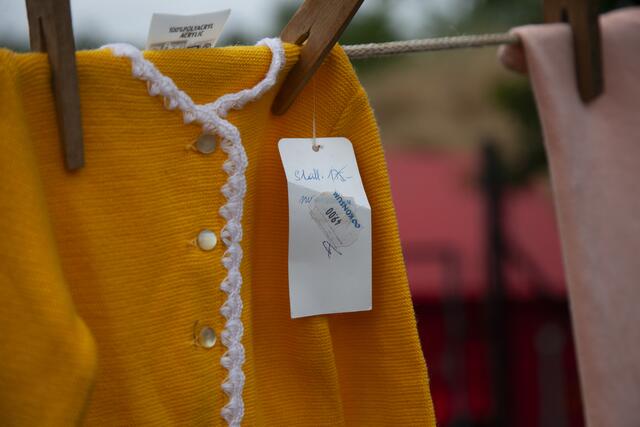 Tag der offenen Tür bei Sammler Willi Taibl in Fuchsenbigl. | Foto: Regina Courtier