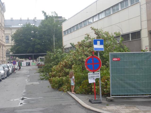 Als Text zu diesem Bild ist mir spontan: "
Wenn ich einmal groß bin, studiere ich nicht Physik!" eingefallen...