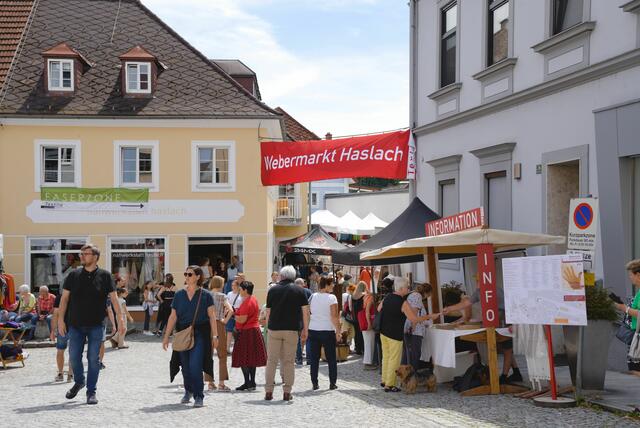 Foto: Alfred Hofer