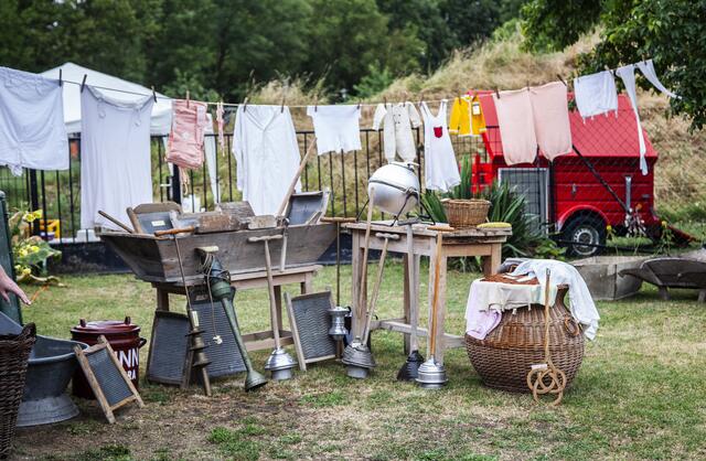 Tag der offenen Tür bei Sammler Willi Taibl in Fuchsenbigl. | Foto: Regina Courtier